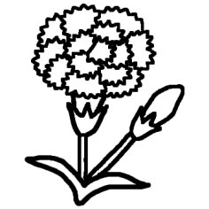 カーネーション 白黒 春 花 植物の無料イラスト ミニカット クリップアート素材