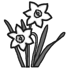 スイセン 水仙 モノクロ 冬 花 植物の無料イラスト ミニカット クリップアート素材