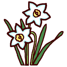 スイセン 水仙 カラー 冬 花 植物の無料イラスト ミニカット クリップアート素材