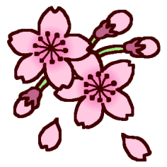 サクラ1 カラー 春 桜 お花見の無料イラスト ミニカット クリップアート素材