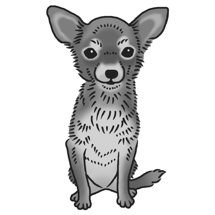 チワワ1 モノクロ イヌ 犬 の仲間 動物の無料イラスト素材