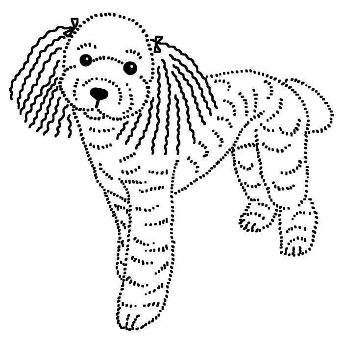 トイプードル1 白黒 イヌ 犬 の仲間 動物の無料イラスト素材