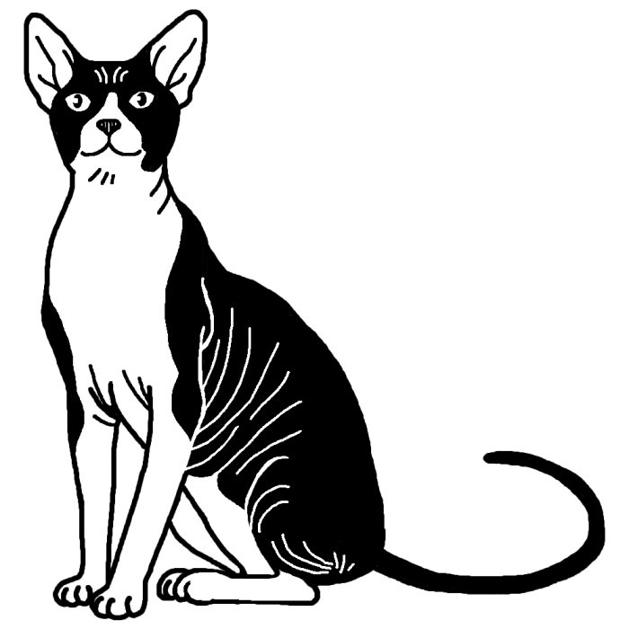スフィンクス1 白黒 ネコ 猫 の仲間 動物の無料イラスト素材