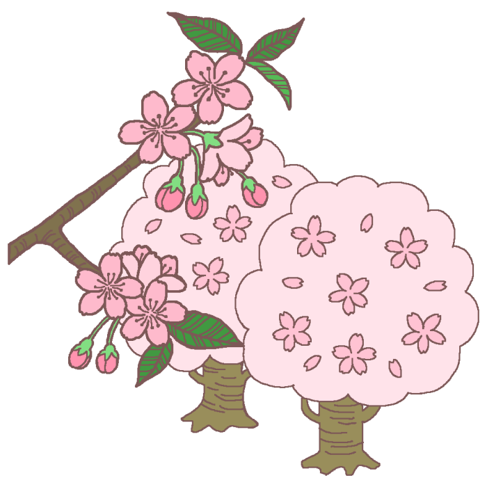 桜 さくら カラー 春の無料イラスト 季節素材